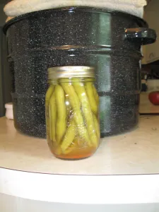 Pickled Green Beans also known as Dilly Beans