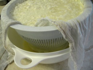 Colander set over nested bowls to drain whey from homemade fromage blanc